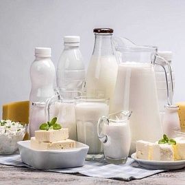 Исследование влияния культур-антагонистов на развитие технически-вредных микроорганизмов в процессе изготовления и последующего хранения ферментированных молочных продуктов